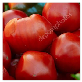 Ripe tomatoes at a market stall